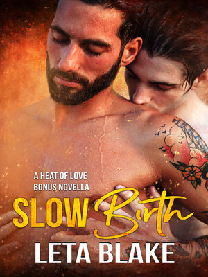 cover image of Slow Birth